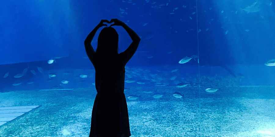 Aquarium hotel room